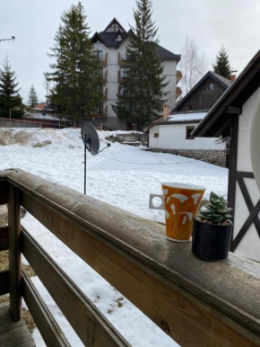 Vikendica Kopaonik 45